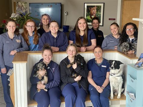 Patton vet - Patton Veterinary Hospital is your local Veterinarian in Red Lion, PA serving all of your needs. Call us today at (717) 296-2208 for an appointment! Becky 